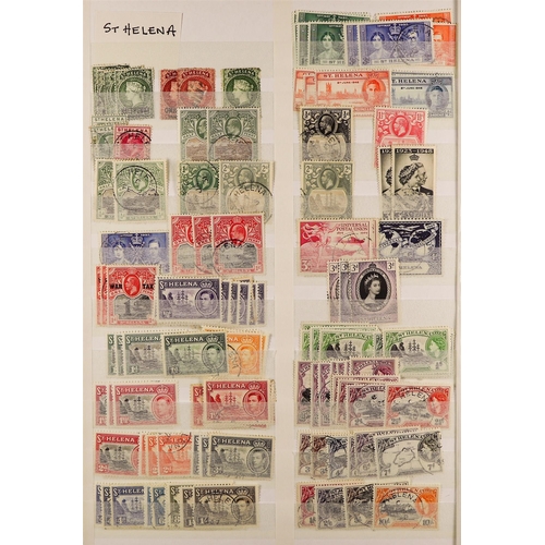 170 - BRITISH AFRICA mint / never hinged mint & used stamps in a box file, Ascension, St Helena, Seychelle... 