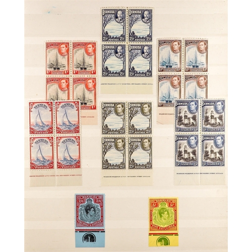 362 - BERMUDA 1936 - 1962 PLATE NUMBERS & PRINTERS IMPRINTS never hinged mint items on 2 stock pages with ... 