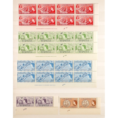 362 - BERMUDA 1936 - 1962 PLATE NUMBERS & PRINTERS IMPRINTS never hinged mint items on 2 stock pages with ... 