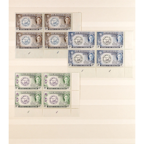 362 - BERMUDA 1936 - 1962 PLATE NUMBERS & PRINTERS IMPRINTS never hinged mint items on 2 stock pages with ... 