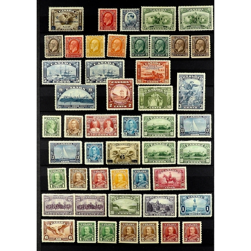 409 - CANADA 1875 - 1952 MINT / NEVER HINGED STAMPS ASSEMBLY on stock book pages incl sets, coil stamps, b... 