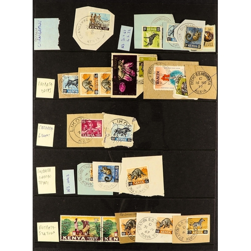 760 - KENYA CANCELLATIONS COLLECTION of 1960's to 1990's stamps selected for readable postmarks arranged b... 