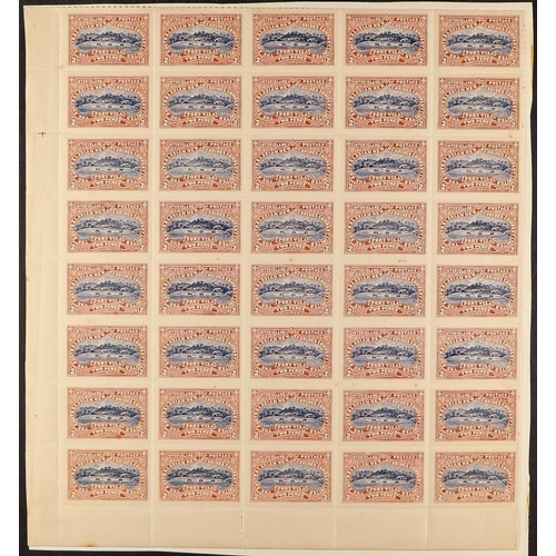 843 - NEW HEBRIDES 1897 AUSTRALIAN NEW HEBRIDES COMPANY LIMITED LOCAL ISSUES a study collection incl. mint... 