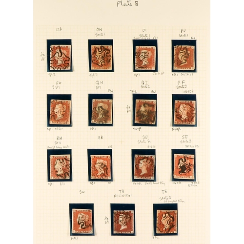 1272 - GB.QUEEN VICTORIA 1841 'BLACK PLATE 8. A collection of 47 different positions of the 1d red-brown im... 