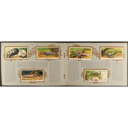 19 - CIGARETTE CARDS BY WILLS in albums. Includes Railway Engines, Life in the Royal Navy, Safety First, ... 