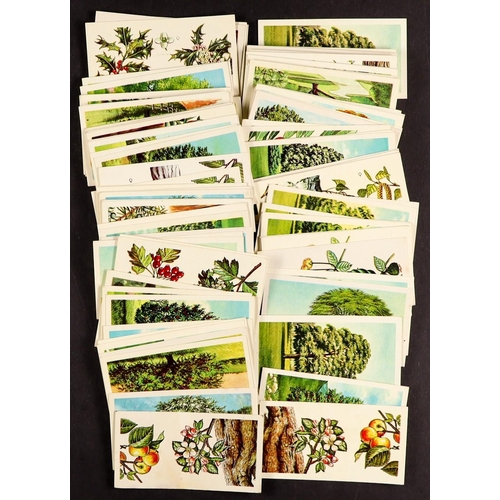 191 - TEA CARDS BY BROOKE BOND in albums. Includes Out of Space (x3), Bird Portraits (x3), Butterflies, Bi... 