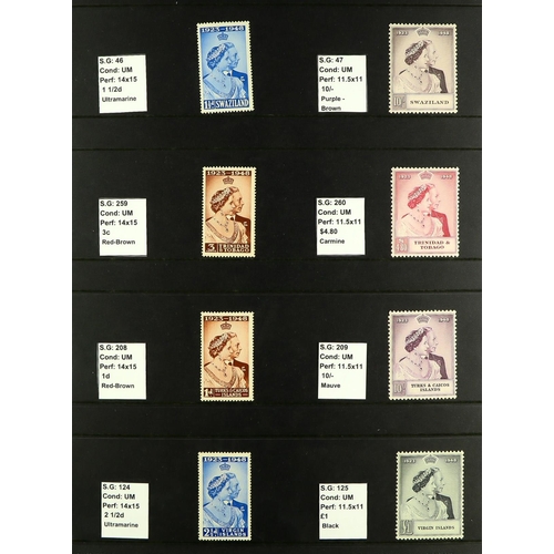 228 - 1948 ROYAL SILVER WEDDING complete Omnibus collection of never hinged mint sets, cat £2250 (138 stam... 