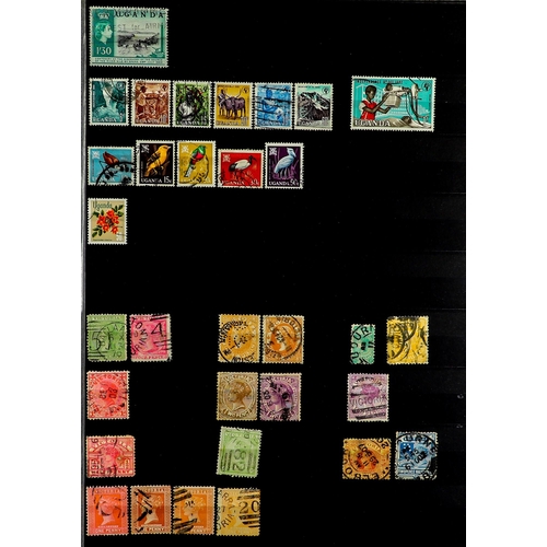 231 - COMMONWEALTH COLLECTION of mint & used stamps in 5 stockbooks, plenty of sets seen (approx 5000 stam... 