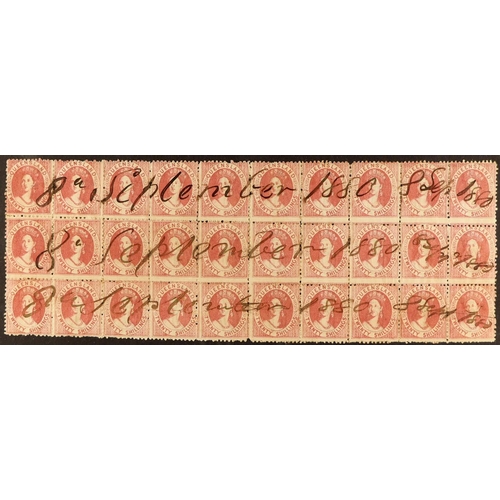 359 - QUEENSLAND 1880 20s rose (SG 127) spectacular BLOCK OF THIRTY being the full width of the sheet and ... 