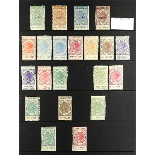 246 - AUSTRALIAN STATES SOUTH AUSTRALIA 1886-1919 mint collection of 21 'tall type' stamps on protective p... 