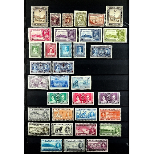 401 - CANADA - NEWFOUNDLAND 1857 - 1947 ESTATE ACCUMULATION of perhaps 1500 mint & used stamps on various ... 