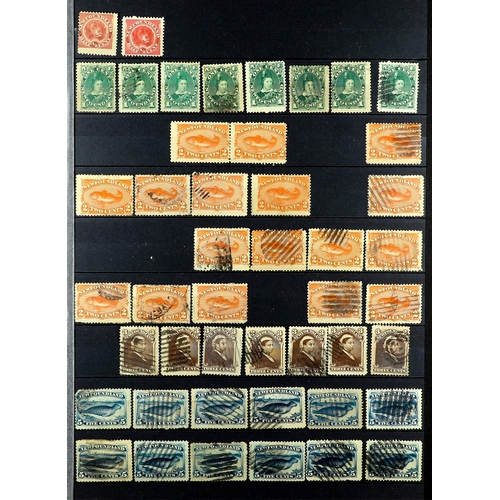 401 - CANADA - NEWFOUNDLAND 1857 - 1947 ESTATE ACCUMULATION of perhaps 1500 mint & used stamps on various ... 