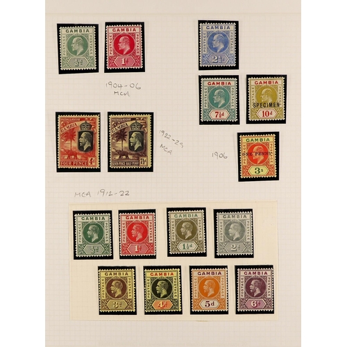 561 - GAMBIA 1904 - 1965 MINT COLLECTION of approx 120 stamps on album pages, 1906 1d on 3s, 1909 2d, 3d a... 