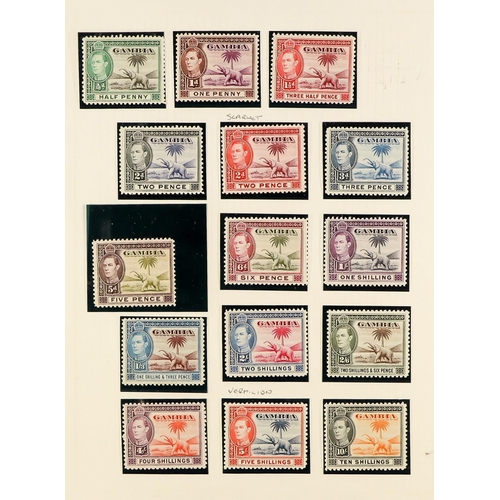 561 - GAMBIA 1904 - 1965 MINT COLLECTION of approx 120 stamps on album pages, 1906 1d on 3s, 1909 2d, 3d a... 