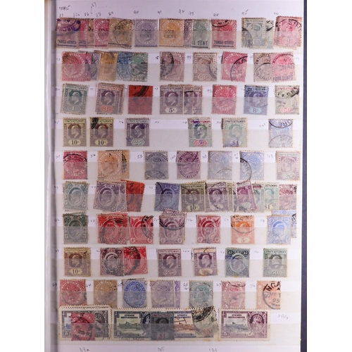 75 - LARGE COLLECTOR'S ESTATE IN 13 CARTONS All periods mint (many never hinged) & used stamps in 85+ alb... 