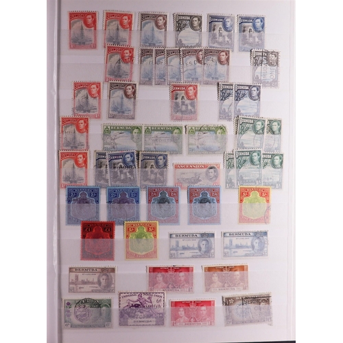 91 - BRITISH COMMONWEALTH 19th Century to 1990 MINT & USED COLLECTION/ACCUMULATION in seventeen stockbook... 