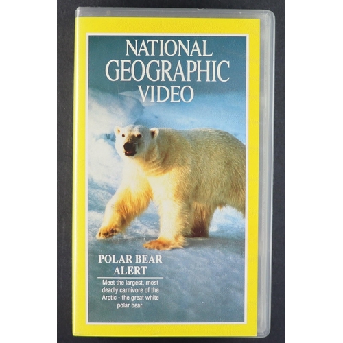 6 - 1963 - 1995 NATIONAL GEOGRAPHIC MAGAZINES. A near complete run (missing 2 - Nov and Dec 1969). Also ... 