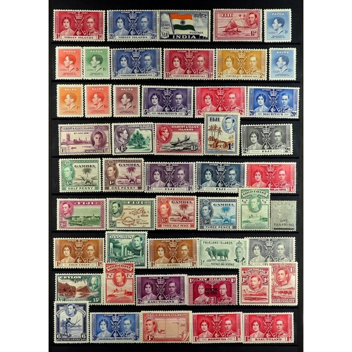 116 - COMMONWEALTH several 1000's mint & used chiefly 1900's-1980's stamps on protective pages, note India... 