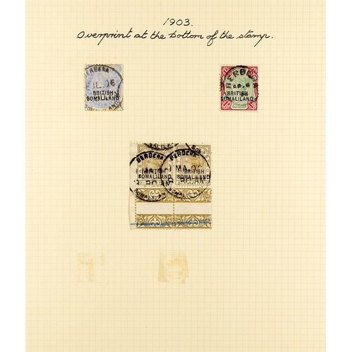 1204 - SOMALILAND PROTECT 1903 OVERPRINTS - BALANCE OF A SPECIALISED COLLECTION. 66 items on 9 album pages ... 