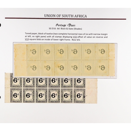 1226 - SOUTH AFRICA 1922-26 REDRAWN POSTAGE DUES specialized collection of mint / never hinged mint & used ... 