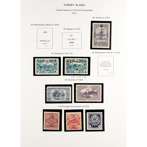 1315 - TURKEY 1920 - 1921 NATIONALIST GOVERNMENT IN ANGORA (ANKARA) An attractive collection of 46 mint sta... 