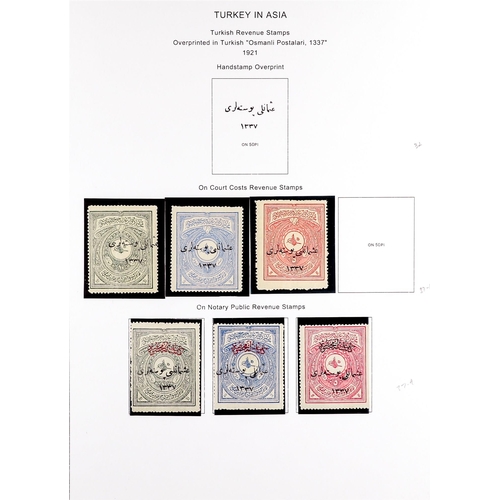 1315 - TURKEY 1920 - 1921 NATIONALIST GOVERNMENT IN ANGORA (ANKARA) An attractive collection of 46 mint sta... 