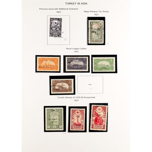 1315 - TURKEY 1920 - 1921 NATIONALIST GOVERNMENT IN ANGORA (ANKARA) An attractive collection of 46 mint sta... 