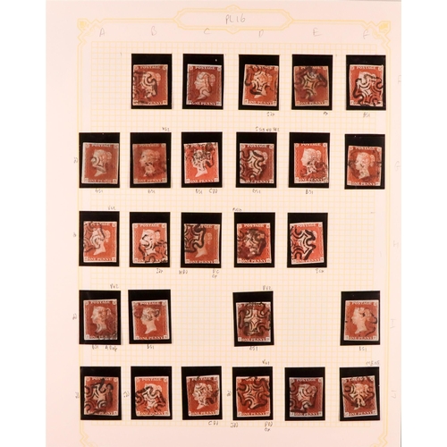 1455 - GB.QUEEN VICTORIA 1841 1D PLATE 16. The collection of 210 different positions of the 1d red-brown im... 