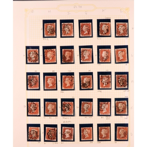 1459 - GB.QUEEN VICTORIA 1841 1D PLATE 20. The collection of 226 different positions of the 1d red-brown im... 