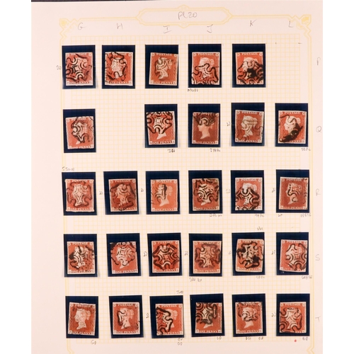 1459 - GB.QUEEN VICTORIA 1841 1D PLATE 20. The collection of 226 different positions of the 1d red-brown im... 