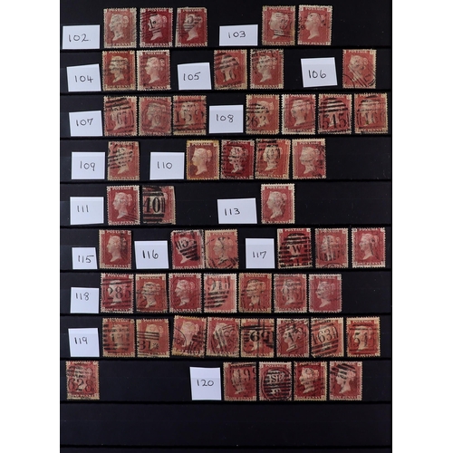 1477 - GB.QUEEN VICTORIA 1840-1900 USED ACCUMULATION in two stockbooks & binder, includes 1840 1d Penny Bla... 