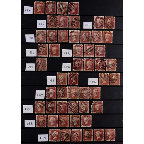 1477 - GB.QUEEN VICTORIA 1840-1900 USED ACCUMULATION in two stockbooks & binder, includes 1840 1d Penny Bla... 