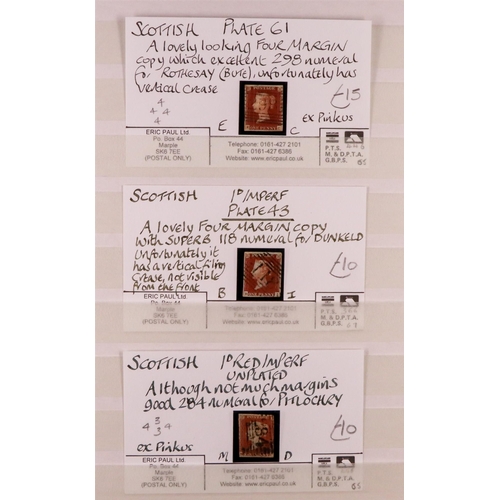 1497 - GB.QUEEN VICTORIA 1841 1d red-browns used examples in a stock book, includes 24 examples on cards wi... 