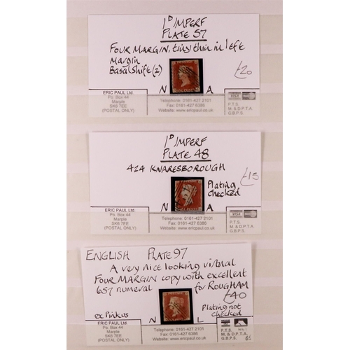 1497 - GB.QUEEN VICTORIA 1841 1d red-browns used examples in a stock book, includes 24 examples on cards wi... 