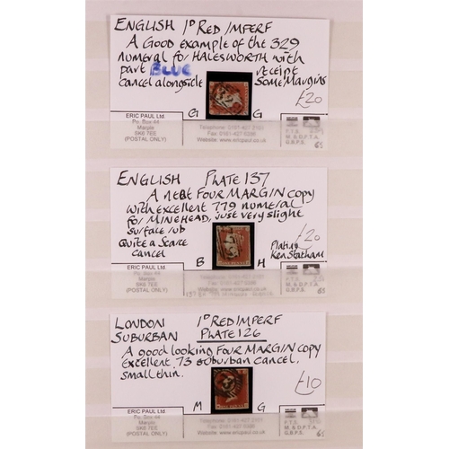 1497 - GB.QUEEN VICTORIA 1841 1d red-browns used examples in a stock book, includes 24 examples on cards wi... 