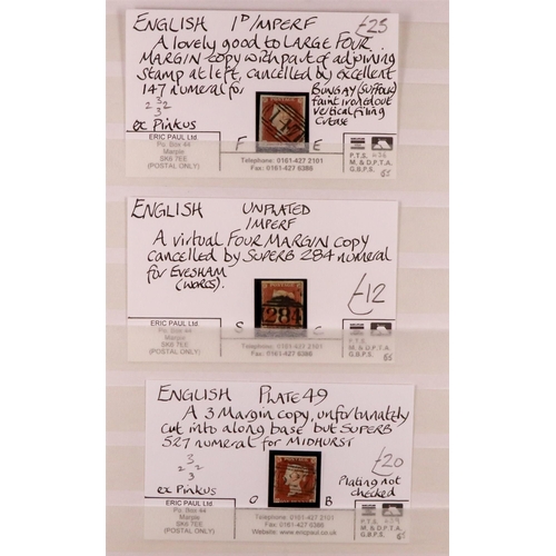 1497 - GB.QUEEN VICTORIA 1841 1d red-browns used examples in a stock book, includes 24 examples on cards wi... 