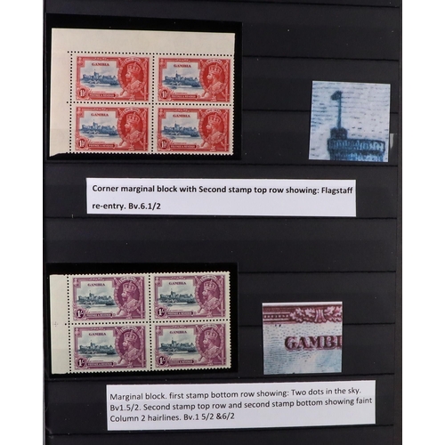 46 - 1935 SILVER JUBILEE ISSUE SPECIALIZED COLLECTION in 2 large stock books, includes mint (almost entir... 