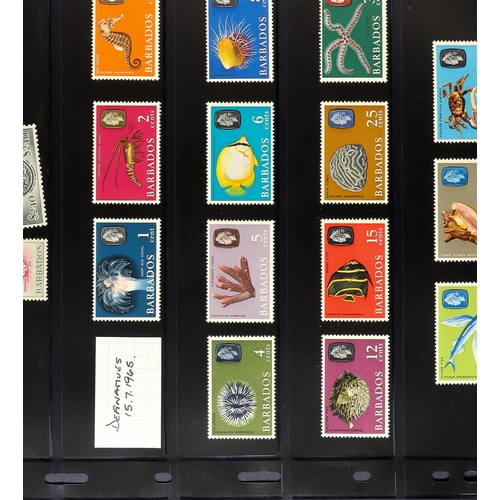 47 - BRITISH COMMONWEALTH 1953-2012 mint chiefly never hinged mint collection on stock pages, we see Aden... 