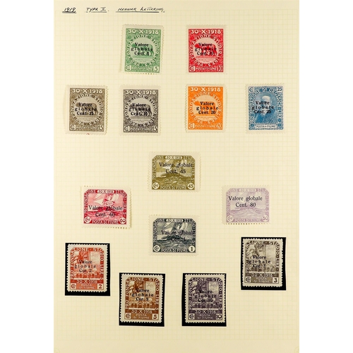 565 - FIUME 1919 - 1924 MINT COLLECTION on pages, note 1919 Education set, 1919 