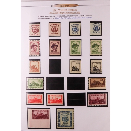 761 - HUNGARY LOCAL & OCCUPATION ISSUES 1919-1920 mostly mint collection in album, includes Banat Bacska, ... 