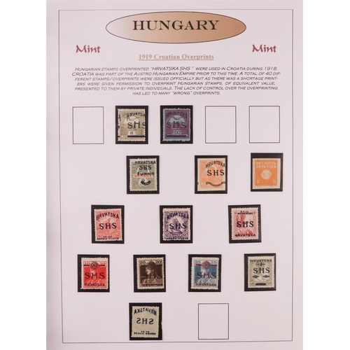 761 - HUNGARY LOCAL & OCCUPATION ISSUES 1919-1920 mostly mint collection in album, includes Banat Bacska, ... 