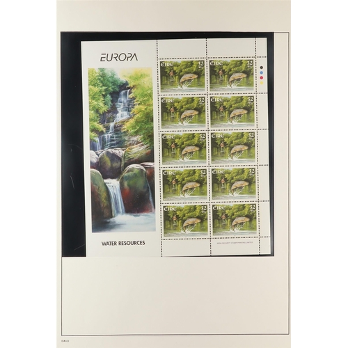 800 - IRELAND 1991-2018 NEVER HINGED MINT SPECIAL PACKS & SHEETLETS includes 1991-2002 Europa sheetlets, v... 