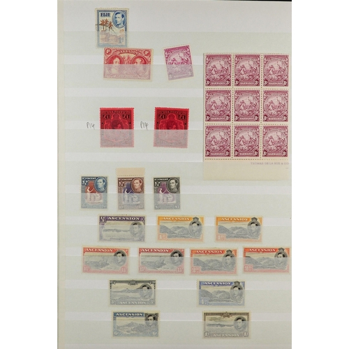 100 - COLLECTOR'S ESTATE IN FOUR CARTONS All periods mint (some never hinged) & used stamps in various alb... 