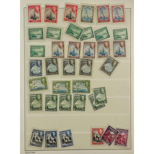 100 - COLLECTOR'S ESTATE IN FOUR CARTONS All periods mint (some never hinged) & used stamps in various alb... 