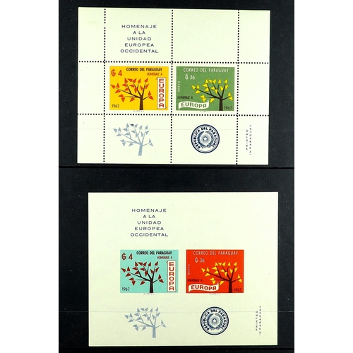 1151 - PARAGUAY 1960 - 1969 NEVER HINGED MINT COLLECTION on protective pages in binder, sets & miniature sh... 