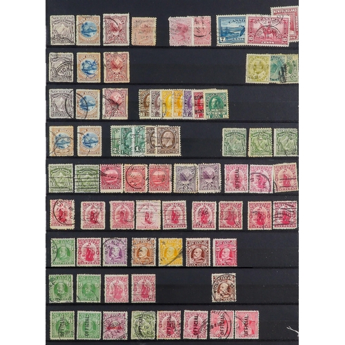 142 - COLLECTOR'S ESTATE IN CARTON BRITISH COMMONWEALTH all periods mint & used accumulation in nine album... 