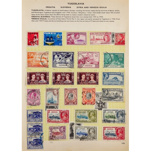 142 - COLLECTOR'S ESTATE IN CARTON BRITISH COMMONWEALTH all periods mint & used accumulation in nine album... 