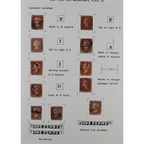 1569 - GB.QUEEN VICTORIA 1841 1d red plate 54, a study page of plated examples, mixed margins. Cat. £220. (... 