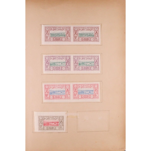 601 - FRENCH COLONIES COLLECTOR'S ESTATE IN BOX. A good range of countries on pages and stock cards which ... 