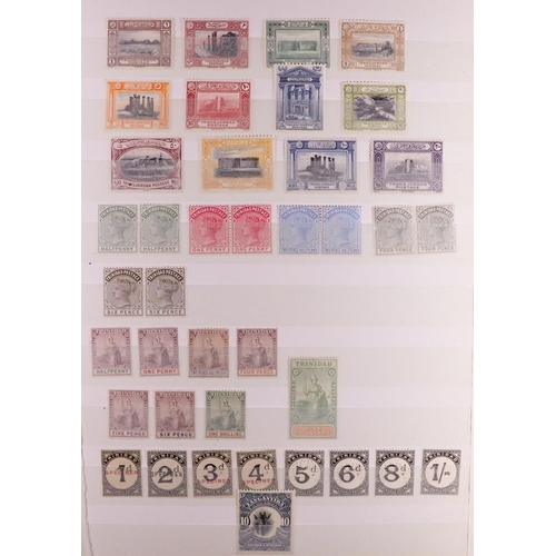 82 - COMMONWEALTH 1855-1960's MINT COLLECTION with the strength in KEVII to KGVI issues on stock pages, i... 